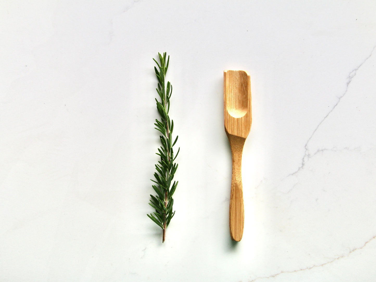 Bamboo Tea Scoop - Eufloria Botanica