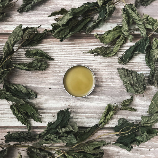 Wild Nettle Salve