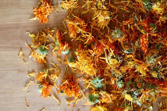 Calendula, Whole Flower